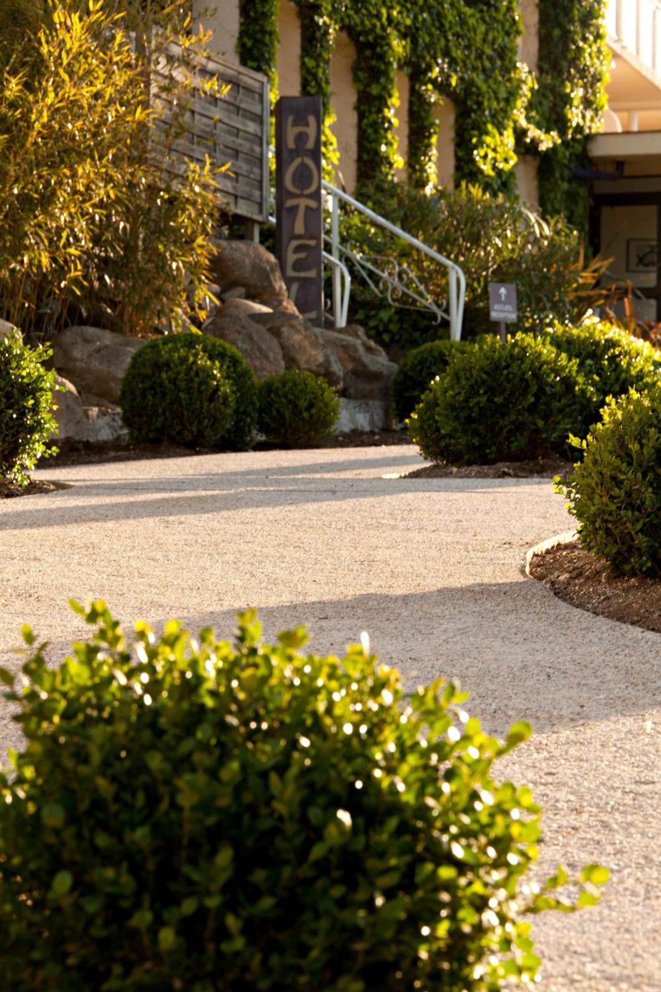 Hotel & Spa Les Mouettes Argelès-sur-Mer Dış mekan fotoğraf